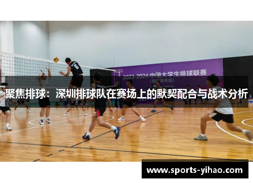 聚焦排球：深圳排球队在赛场上的默契配合与战术分析