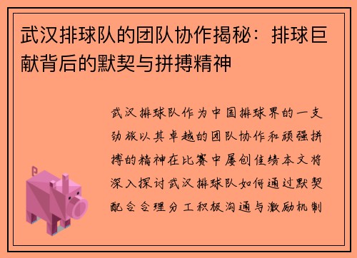 武汉排球队的团队协作揭秘：排球巨献背后的默契与拼搏精神