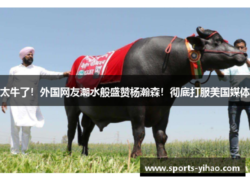 太牛了！外国网友潮水般盛赞杨瀚森！彻底打服美国媒体